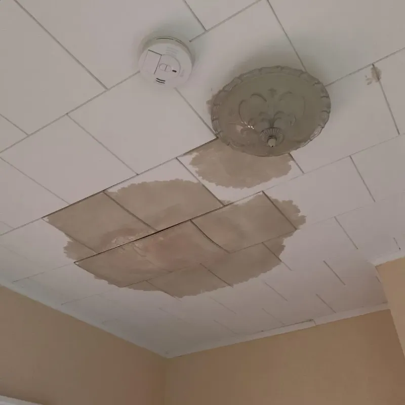 Ceiling Water Damage Repair in Randolph, VT