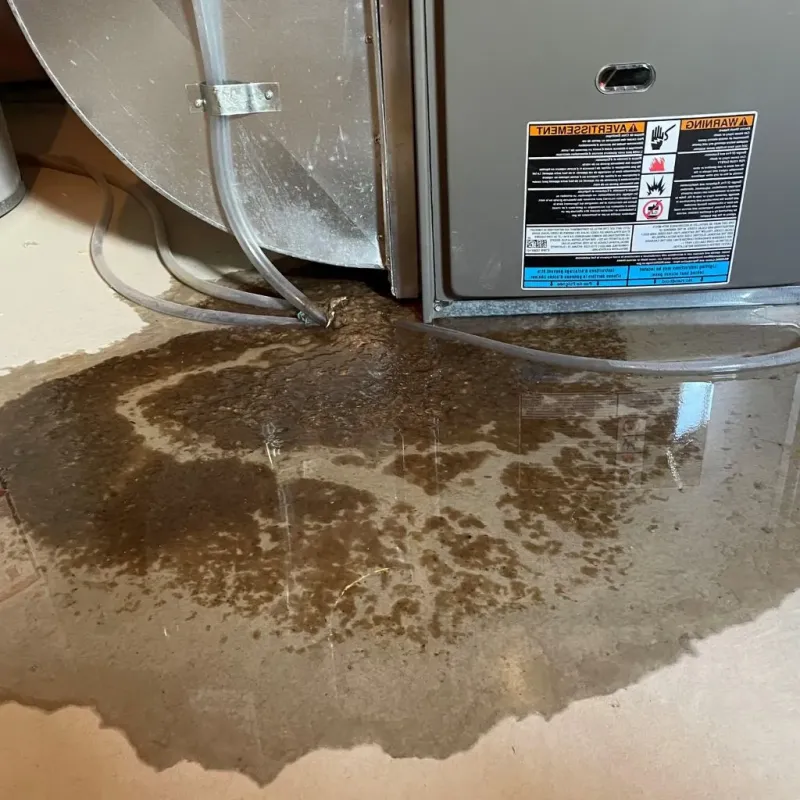 Pipe Burst and Leak Restoration in Randolph, VT