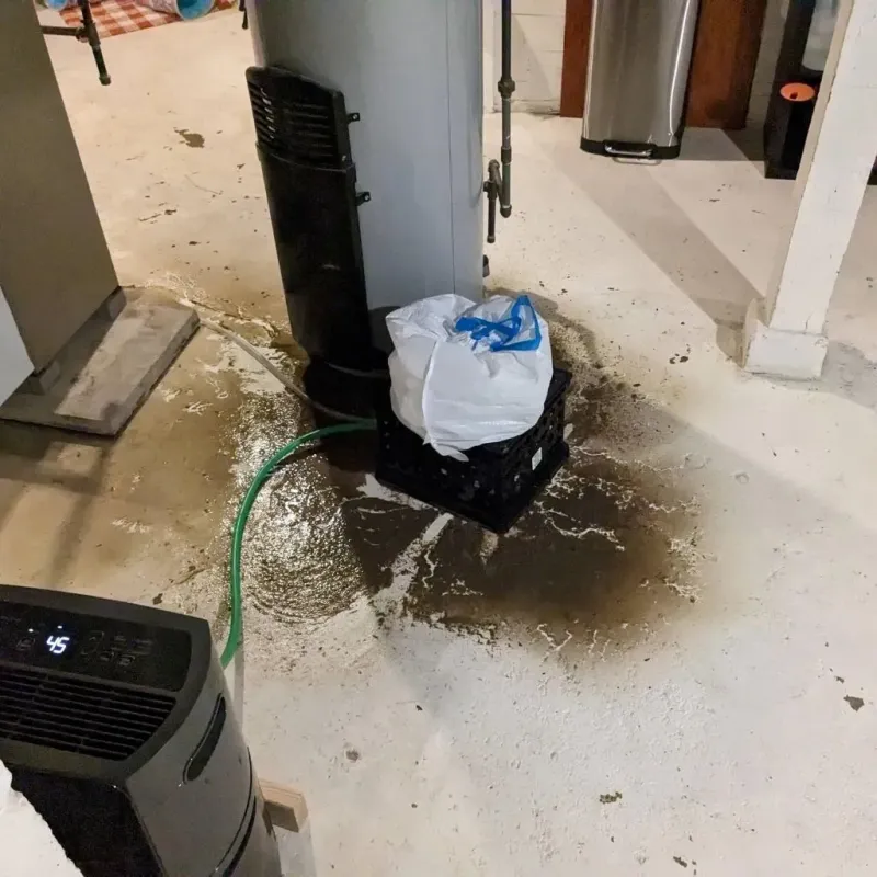 Sewage Backup Cleanup Service in Randolph, VT